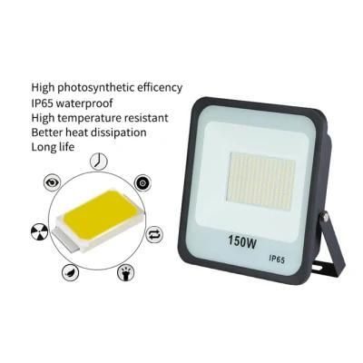 LED Outdoor Flood Light Bulbs Spot Stadium CRI&gt;80 LED Flood Highbay Light with CE RoHS 200W LED Tunnel Light Floodlight