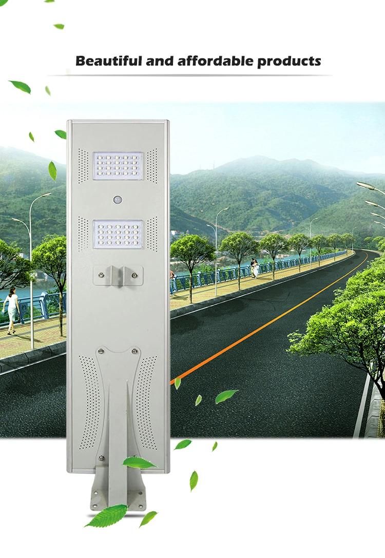 Portable Long Lifespan Solar Powered Street Light with OEM