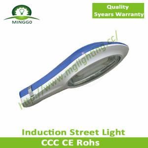 40W Induction Street Light Road Lamp Outdoor Light