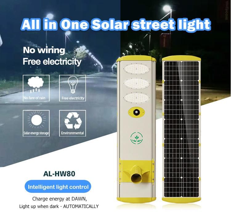 Wholesale Waterproof Solar LED Street/Road/Garden Light with Panel & Lithium Battery