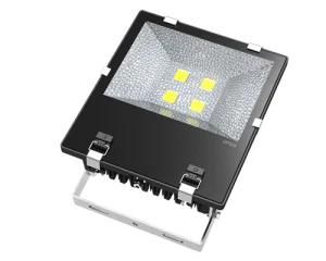 LED 200W 150W 100W Floodlight /Flood Lamp/ Project Lamp