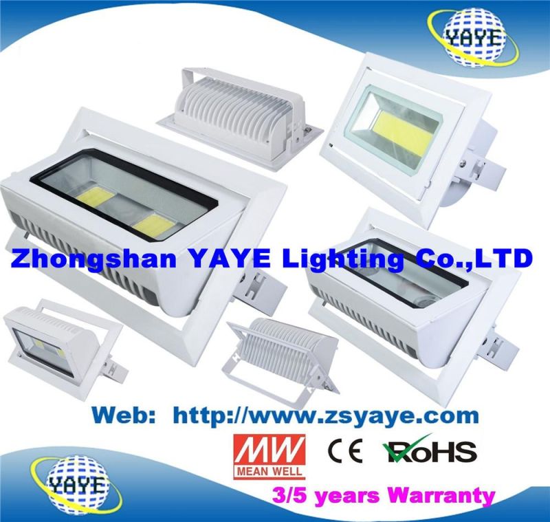 Yaye 18 Top Sell Ce/RoHS Approval COB 30W LED Projector / COB 30W LED Flood Light /COB 30W LED Downlight