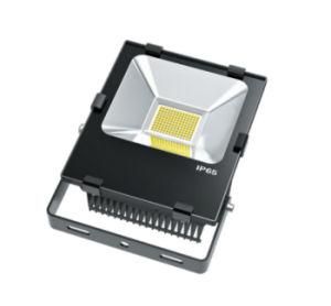 High Power High Quality Waterproof IP66 Driverless Outdoor Lighting 150W LED Floodlight