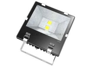 100W IP65 Tri LED Flood Light Outdoor Projector