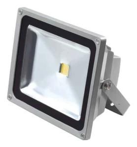 Waterproof SAA CE Outdoor Lighting 30W LED Flood Light Floodlight