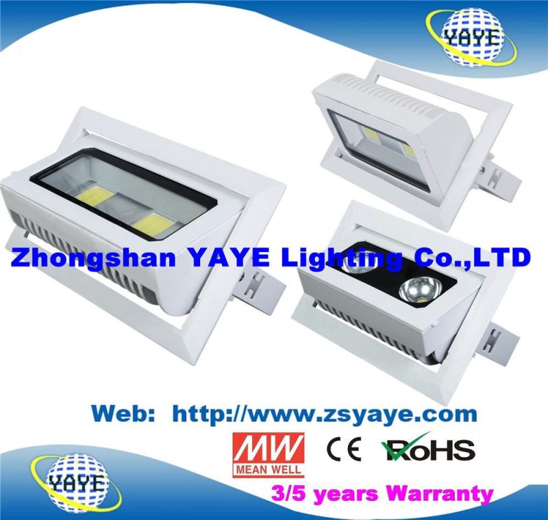 Yaye 18 Top Sell Ce/RoHS Approval COB 30W LED Projector / COB 30W LED Flood Light /COB 30W LED Downlight