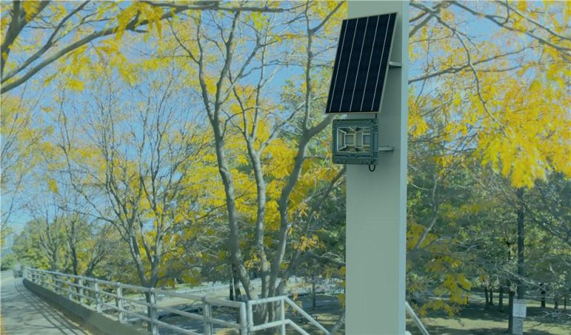 New Outdoor Waterproof Solar Energy LED Flood Light with RGB Lighting