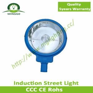 200W~240W Street Lamp with 5 Years Warranty