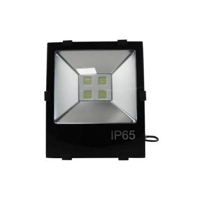 LED Outdoor Lighting AC220V 50W 100W 150W 200W High Brightness IP66 Waterproof Floodlight