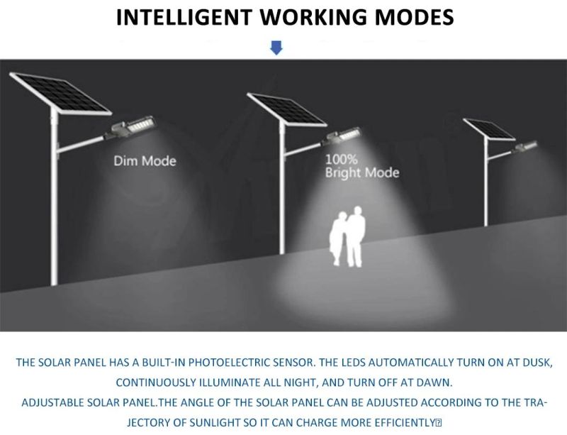 Solar Panel Split 20W 30W 40W 50W 60W Energy Saving All in Two Solar Street Light