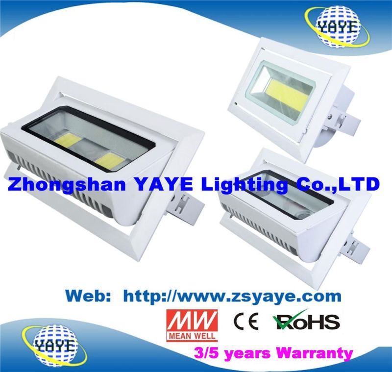 Yaye 18 Top Sell Ce/RoHS Approval COB 30W LED Projector / COB 30W LED Flood Light /COB 30W LED Downlight