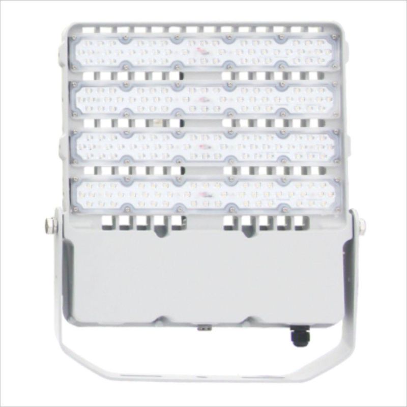 LED Flood Light Bulbs Outdoor CE RoHS SAA CB TUV LED Floodlight Cheaper Price SKD Flood Light SMD COB Spotlight Solar LED Flood Light