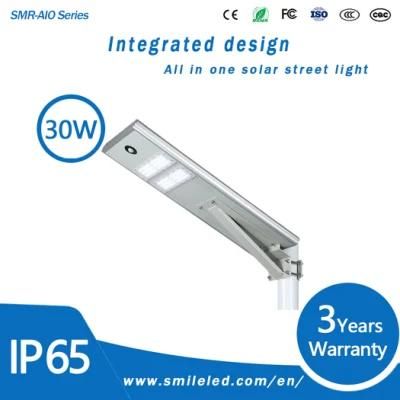 30W LED All in One Integrated Solar Street Light Solar Powered IP68 Waterproof Lamps with Solar Batteries