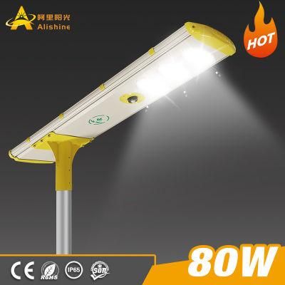 Certificated LED Solar Street Light with LiFePO4 Battery