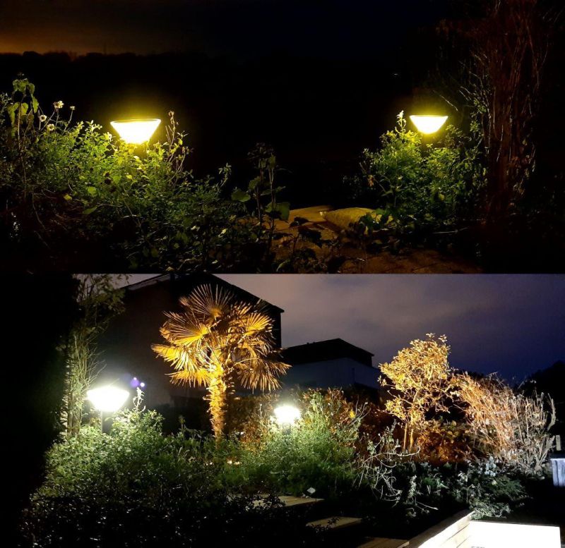 Outdoor Solar Decoration Lawn Garden Light with LiFePO4 Lithium Battery