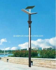 Solar Garden Light with 20W