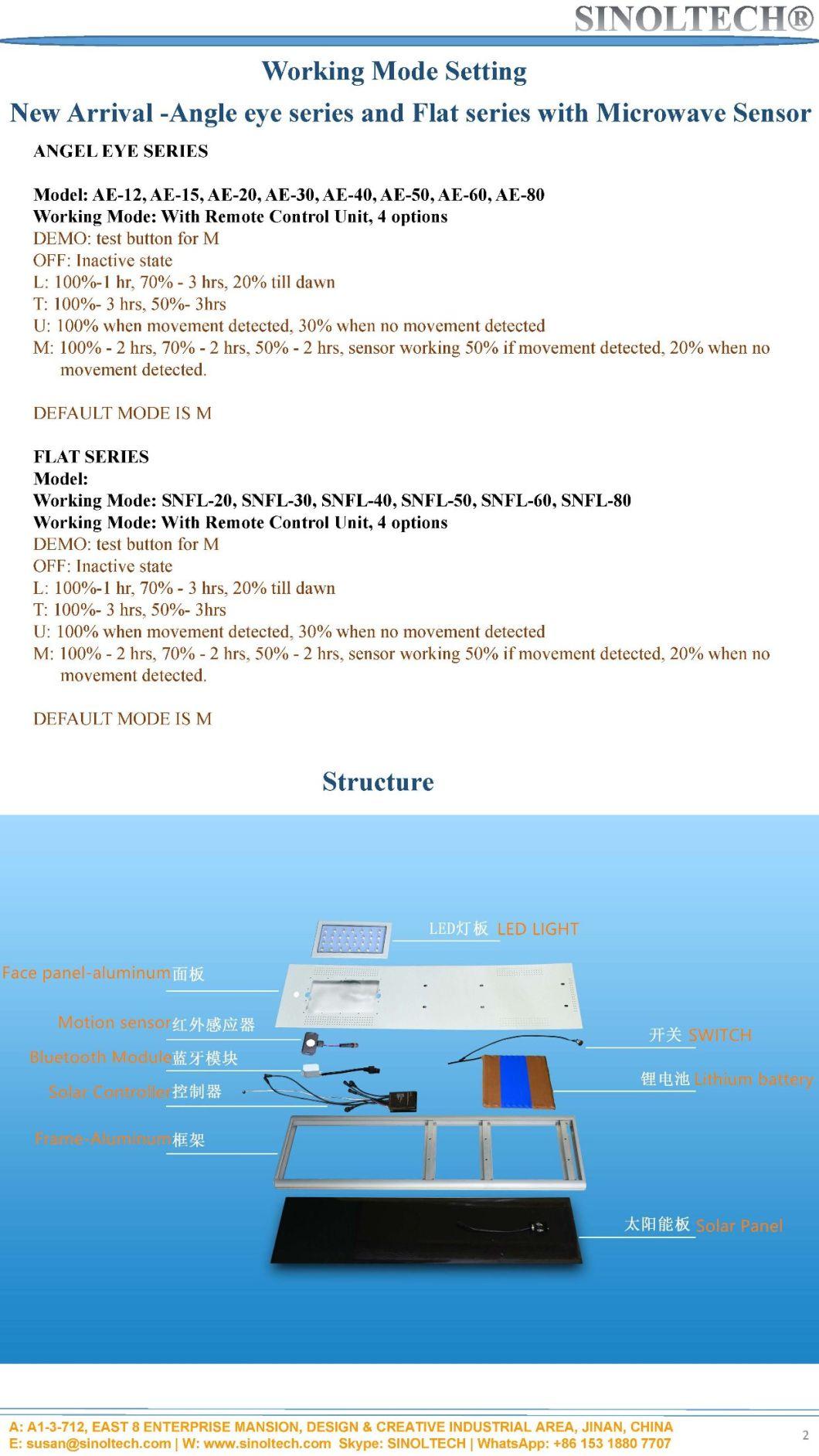 All in One Design IP65 9W LED Solar Light for Garden (SNSTY-209)