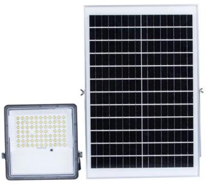 100W 200W 300W Factory Sales Outdoor IP66 Waterproof Remote Control Reasonable Price Solar LED Flood Lamp