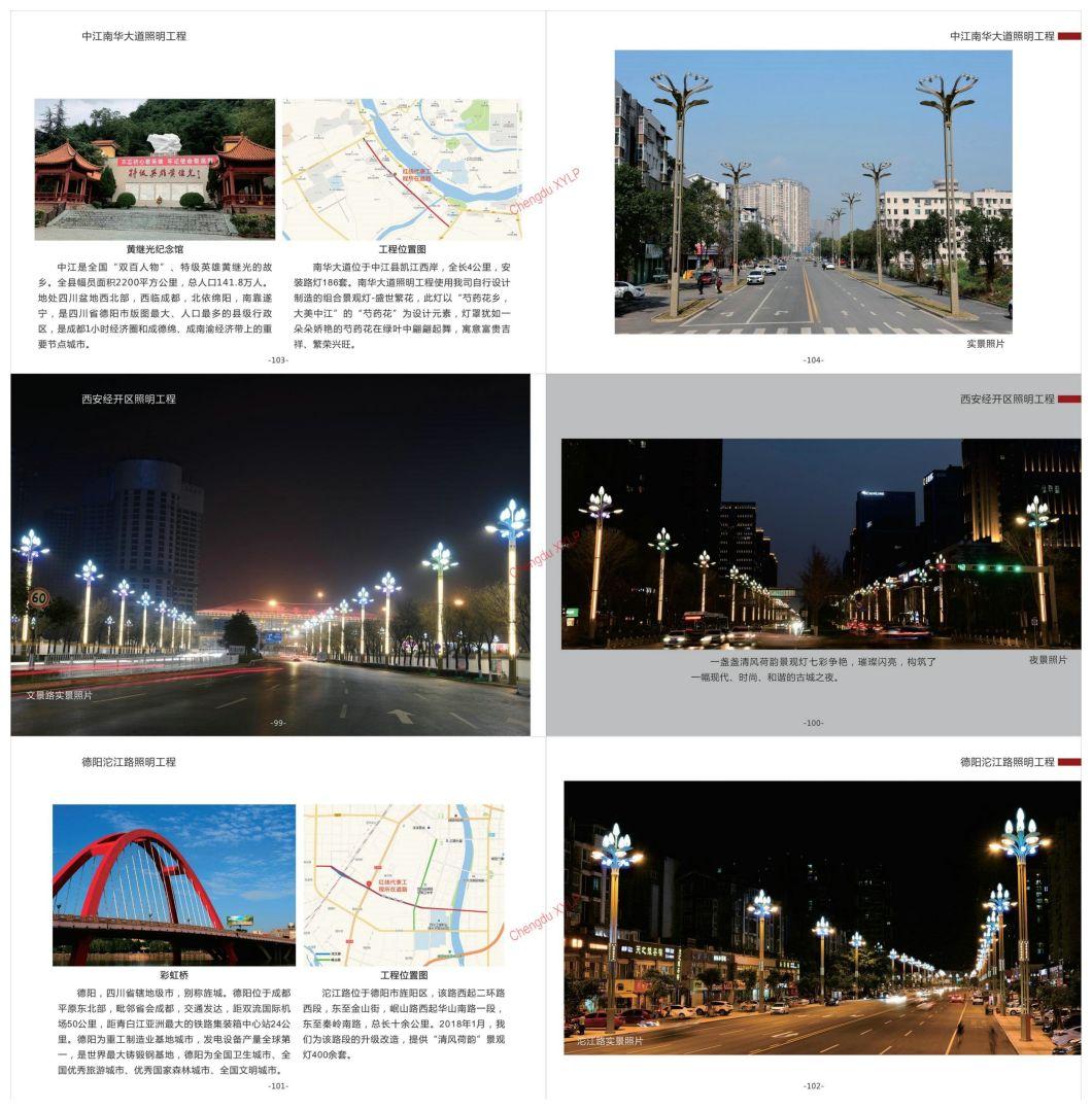 LED Lamp/Light/Lighting Street City Traffic Signal Lamp Pole Landscape Lighting Products Pole Lamp Landscape Lamp Garden Lamp Lawn Lamp