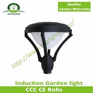 40W~80W IP65 Classic Induction Garden Light with 5 Years Warranty