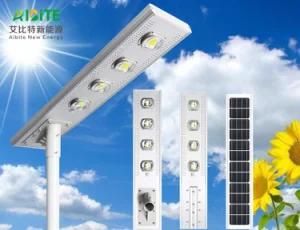 Single Crystal Solar Panel 20W-120W LED Street Outdoor Light Integrated Street Light