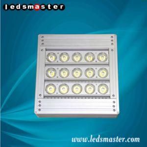 Super Bright LED Garden Large Area Lighting Meanwell Power