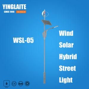 Manufacturer Ce RoHS 6m Pole 60W Wind Solar Hybrid Street Lamp