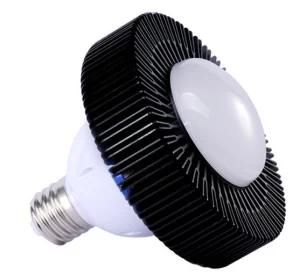 E40 LED High Bay Light (E39/E40, 54W)
