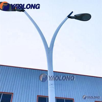 High Temperaure Resistant SS316L Double Arm Lighting Pole for Seaside