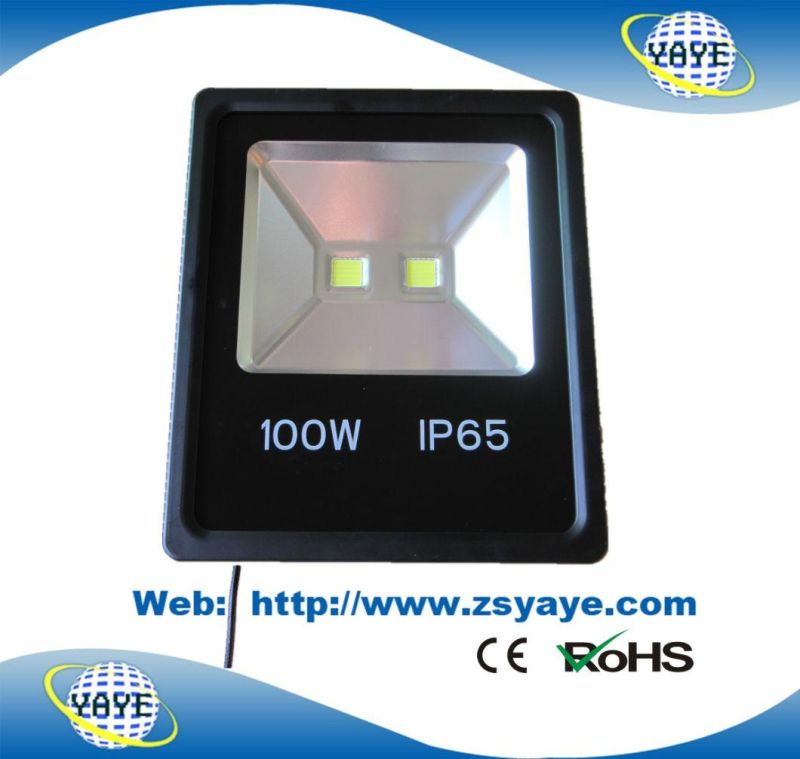 Yaye 18 Newest Design Top Sell 100W/60W Outdoor LED Flood Light & 100W/60W Outdoor LED Tunnellight with Ce/RoHS