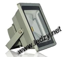 50W Flood Light