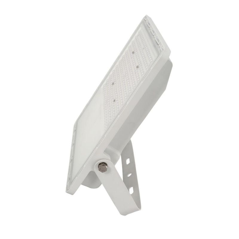 LED Floodlight 150W Outdoor Spotlight Flood Light AC 220V Professional Lighting Street Lamp Waterproof IP65