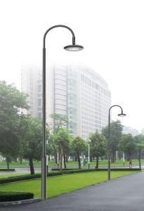 LED Garden Light 100W