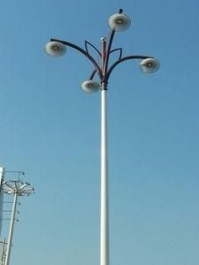 Light Garden Stake LED Street Light for Streets Roads Highways