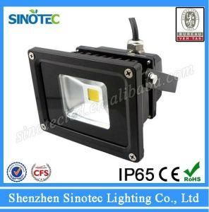 12 Volt Color Changing Outdoor 10W LED Flood Light