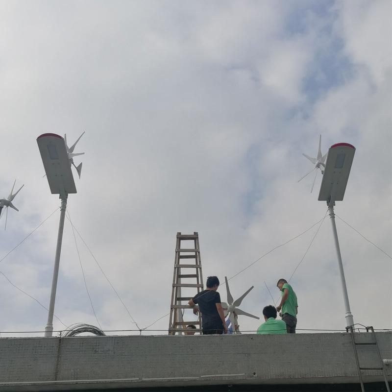 Commerical 40W 60W Hybrid Wind and Solar All in One Solar Street Lighting