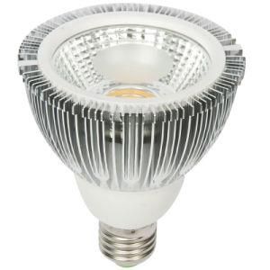 LED PAR Lamp