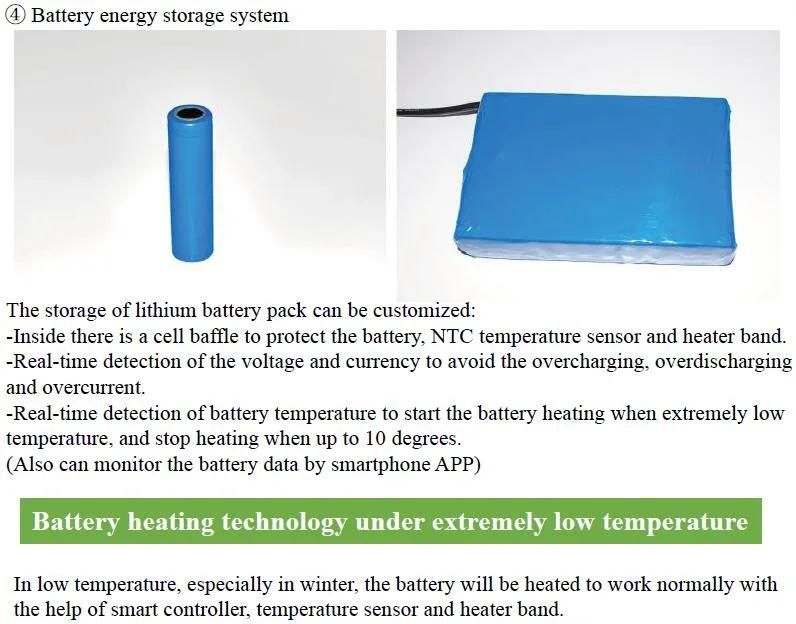 60W Wind and Solar Powered  LED Hybrid Light  (SNH-060)