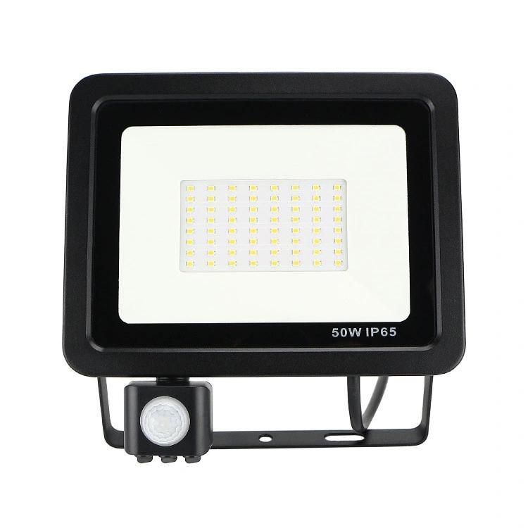 30W/50W/100W/150W/200W/300W Induction Flood Light