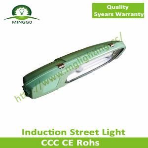 80W~150W IP65 Solar Induction Street Light with 5 Years Warranty