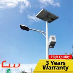 China Gold Supplier IP65 Photocell Induction LED Solar Street Lamp