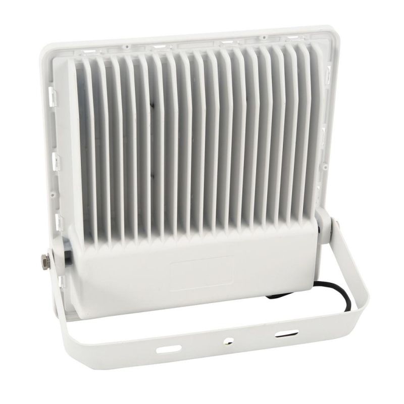 LED Floodlight 30W 220V Waterproof Outdoor Wall Garden LED Spotlight Floodlight Lamp