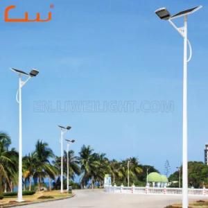 30W 50W 100W Solar PV Wind LED Street Light with Lamppost