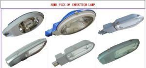 Induction Road Lamp