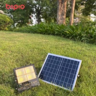 Bspro Good Price Color Changing Garden Lawn Camping Sport Warehouse Lamp Outdoor Lights LED Solar Flood Light
