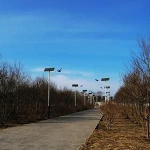 Hye PV System Solar Street Lamp