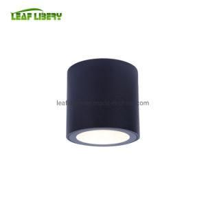 IP65 Ningbo Factory Lamp Ceiling New Ceiling Light LED Lighting Lamp Ceiling Outdoor Waterproof