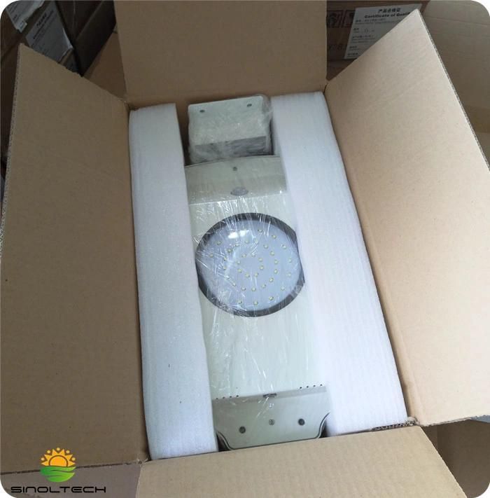 IP66 Waterproof All in One 6W Solar LED Garden Lights (SNSTY-206)