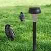 Solar Garden Lawn Light -3