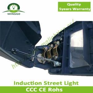 200W~250W Induction Street Light Road Lamp IP65 5years Warranty